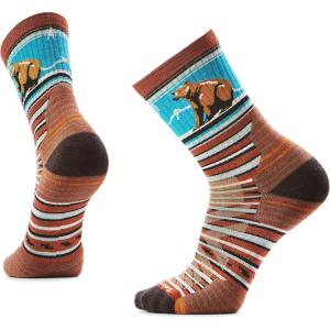 Smartwool mens Hike Targeted Cushion Bear Stripe Mid Crew Socks(Picante)